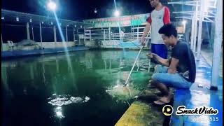 Download lagu story wa mancing mp3