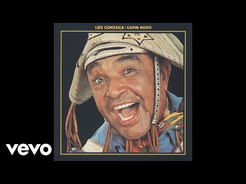 Luiz Gonzaga - Sanfona Sentida (Áudio Oficial)
