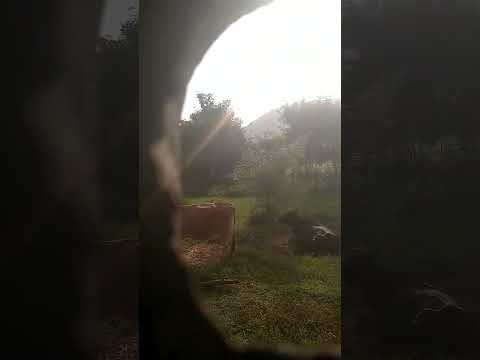 💚Nature 🌱is always Beauty 🏞️#bavya_j