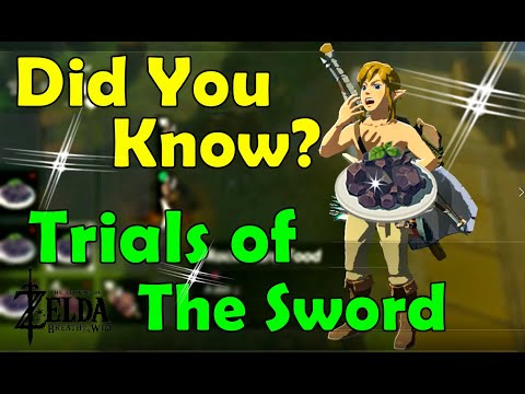 Tips for Trials of The Sword Zelda Breath of The Wild
