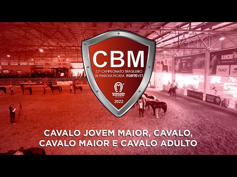 CBM MARCHA PICADA 2022 - CAVALO JOVEM MAIOR - CAVALO - CAVALO MAIOR E CAVALO ADULTO