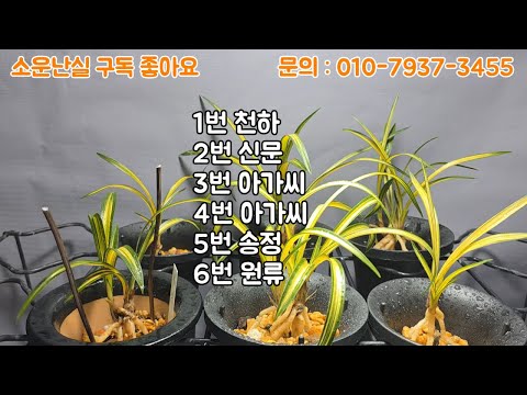유튜브 썸네일