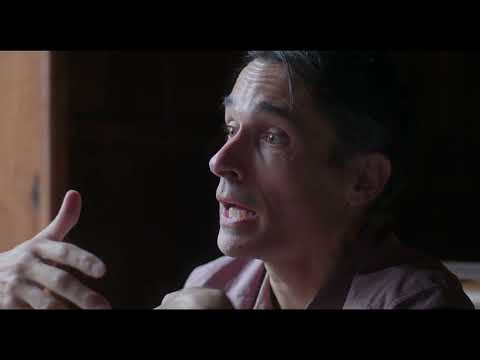 Cinq nouvelles du cerveau - Bande Annonce [VF]
