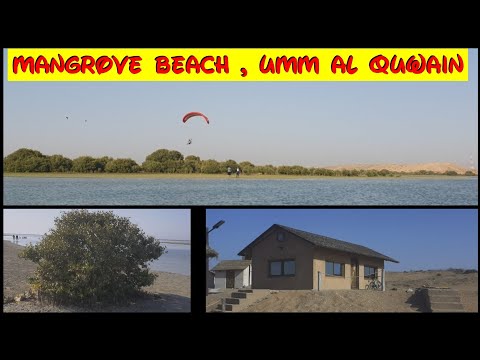 Drive to Mangrove Beach Umm Al Quwain | Exploring UAE
