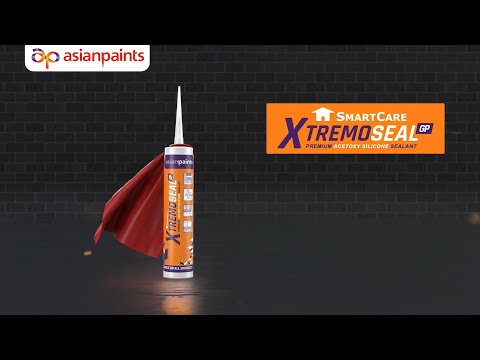 Asian Paint GP Silicone Sealant