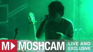 Animal Collective - In The Flowers | Live in Sydney | Moshcam