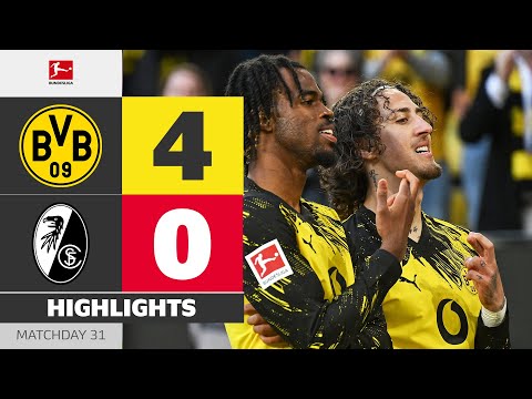 bg-highlight