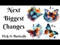 🦋Next Biggest Changes Coming! | Pick-A-Butterfly