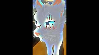 The eye,the eye of the storm……. #film #warriorcats #wcue #warriors #wcueedit