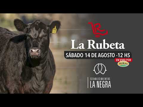RUBETA - REMATE 2021