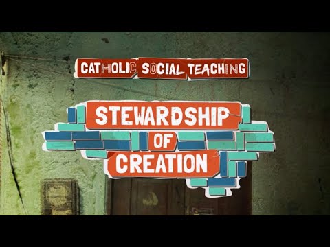 Catholic Social Teaching - Stewardship of creation