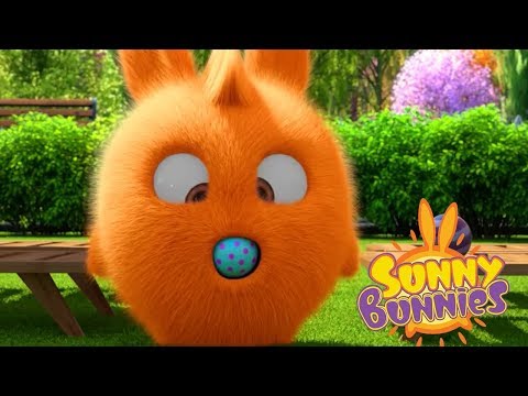 Videos For Kids | Sunny Bunnies BALLOON BLUES | Funny Videos For Kids