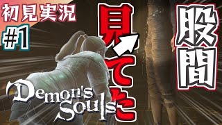 【Demon's_Souls】ゴメン…股間見てて話聞いてなかった… PS5版デモンズソウル 実況 part1【初見実況】