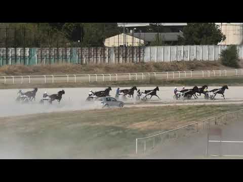 Trka "Brave Reg" 22.09.2019 Mosaique Mar - Dejan Simić