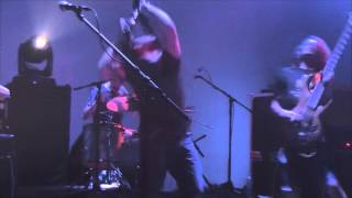 Above The Fog - The Best Pessimist