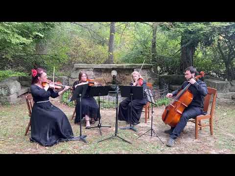 Promotional video thumbnail 3 for Resonant Strings