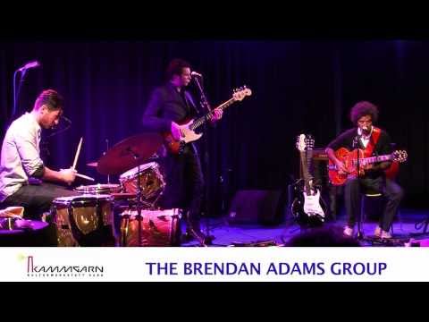 The Brendan Adams Group