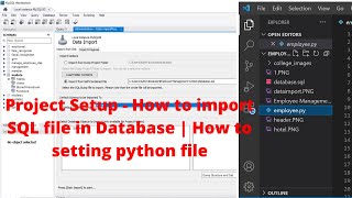 Project Setup - How to import SQL file in Database | How to setting python file