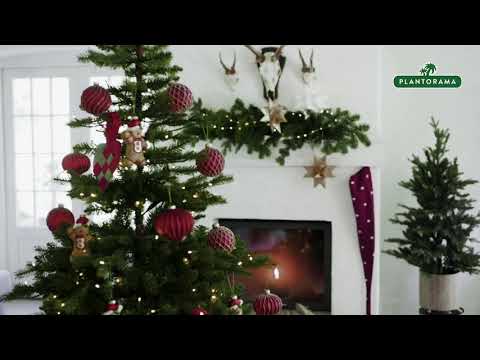 Gammeldags rød jul - med et sjovt twist | Jul i Plantorama