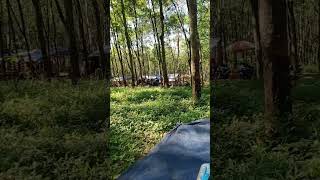 cuma piknik ke hutan karet happy happy ajalah Mp4 3GP & Mp3
