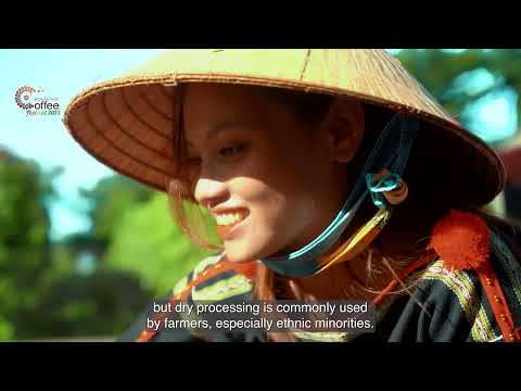 vi-dang-hoan-hao-le-hoi-ca-phe-buon-ma-thuot-2023