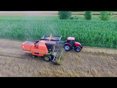 Żniwa 2025 w GR Wróbel