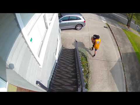 Theft - GOWING DRIVE Friday 22nd March - 3:45pm