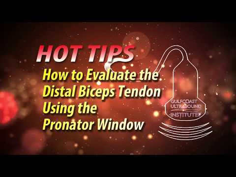 MSK Ultrasound-How to Evaluate the Distal Biceps Tendon Using the Pronator Window-Hot Tip