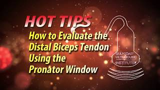 MSK Ultrasound-How to Evaluate the Distal Biceps Tendon Using the Pronator Window-Hot Tip