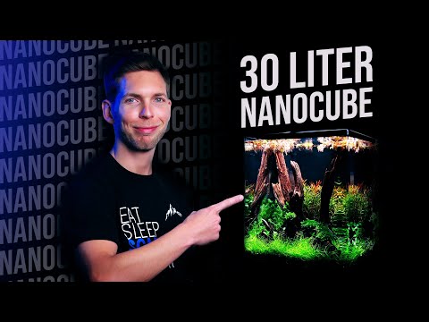 A Nano Aquarium That Anyone Can Build at Home