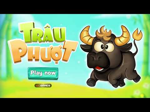 Buffalo Adventure
