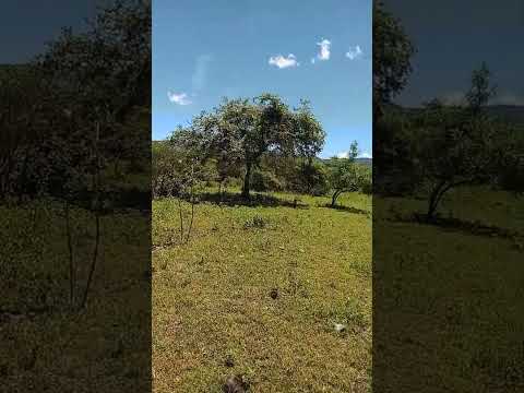 Venta de una caballería en Oratorio Santa Rosa 