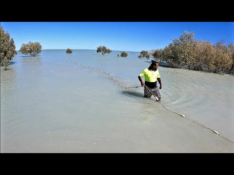 MABU BURU LIFESTYLE Ep 28 - DRAG NETTING