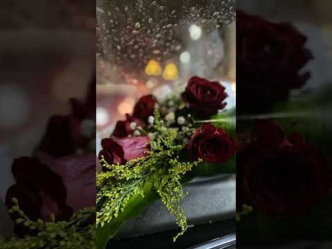 #loveflowers #flowers #love #rose