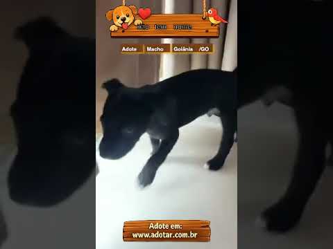 Vídeo de não tem nome 