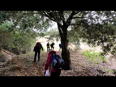 Naracauli -  Villa Ginestra  - Piscinas