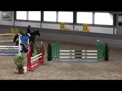 Lambada ⭐️ first show - 5y.o Cornet Obolensky x Darco