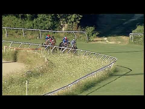 Galoppo 25/07/2020 - 1ª corsa