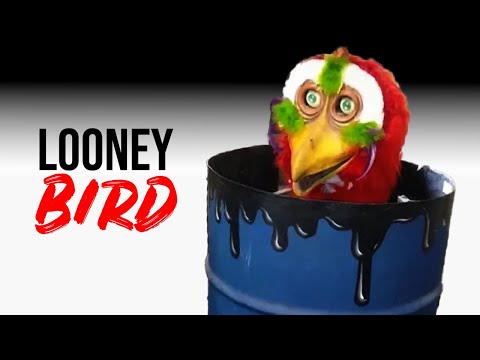 I Repaired a Looney Bird Animatronic… BIG Mistake
