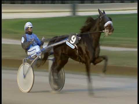 Trotto 14/12/2018 - 4ª corsa