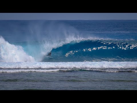 JUNE MENTAWAI l YONI KLEIN