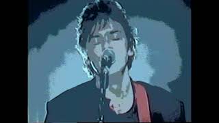 ROBYN HITCHCOCK - Out Of The Picture (Lead Vocal Muted) Blocked Words Remix