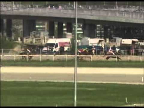 trka"CAREVA CUPRIJA"