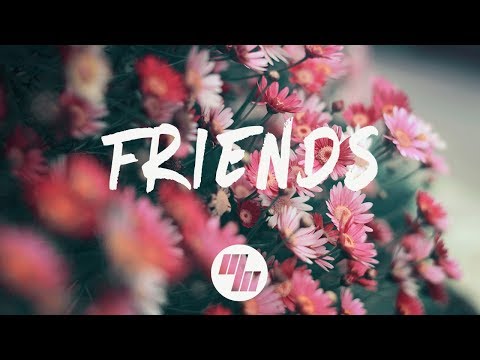 Subtact - Friends (Lyrics / Lyric Video) feat. Bri Tolani