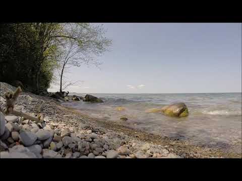 Nipek - Free your whale