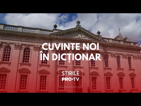 „Skibidi”, „tradwife” şi „delulu” printre termenii adăugați în dicţionarul Cambridge