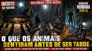 NOVOS RELATOS TENEBROSOS E HORRIPILANTES ENVIADOS PELOS INSCRITOS DO CANAL | TERROR AO MEIO DIA