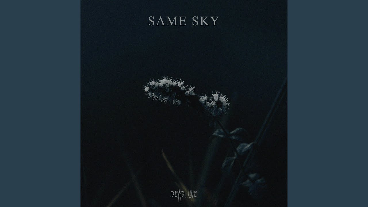 Same Sky