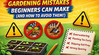 Gardening Mistakes Beginners Can Make (And How to Avoid Them!)