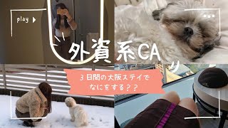 【外資系CA KIX便】奇跡の大阪３日間ステイ！貴重な日本ステイでなにをする？美容/食/友達/家族/愛犬🐶